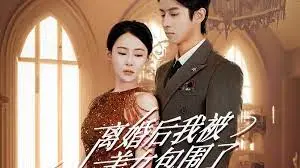 离婚后,我被美女包围:浪漫与冒险的交织